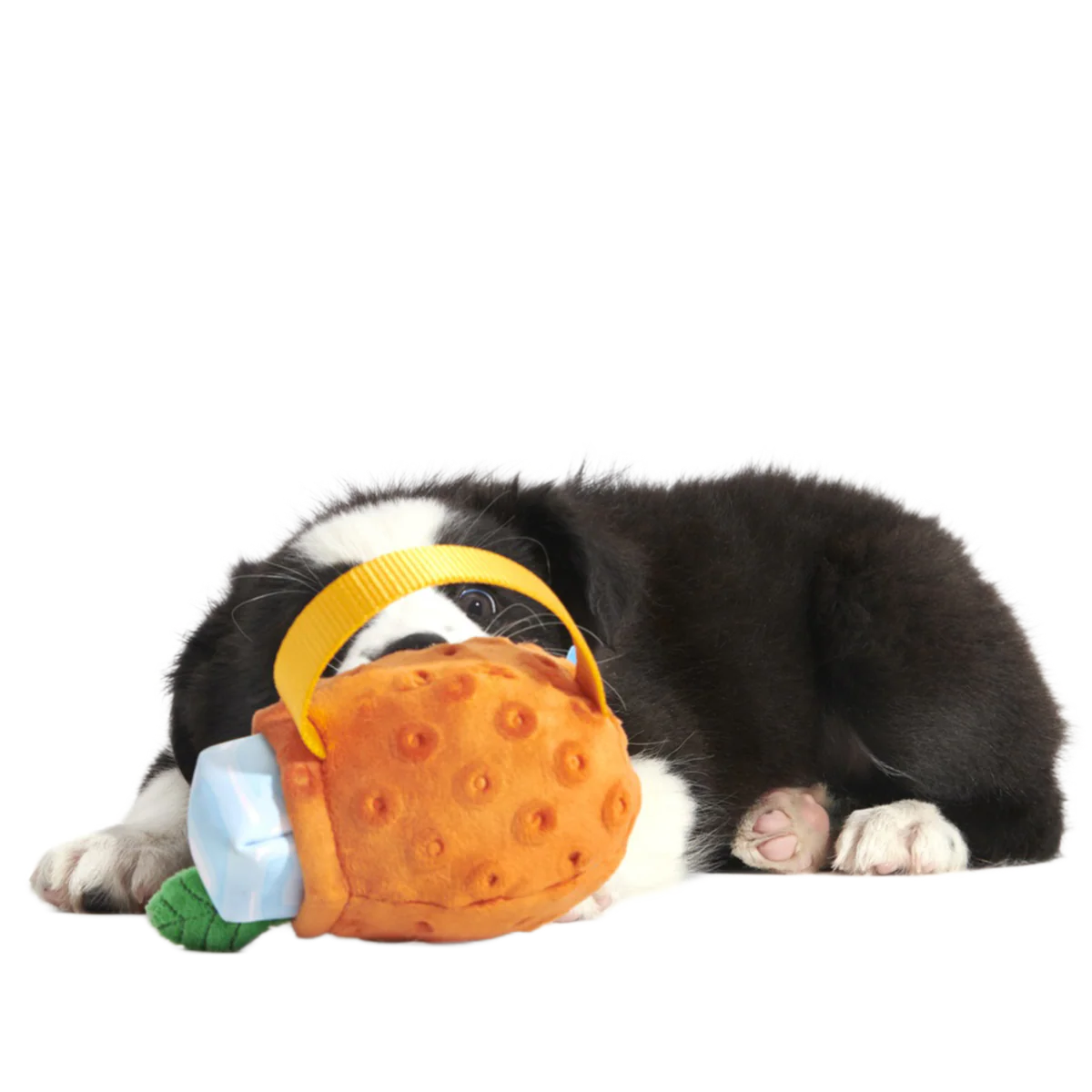 Cocktail Club, Plush Cocktail Monthly Dog Toys - Image 5