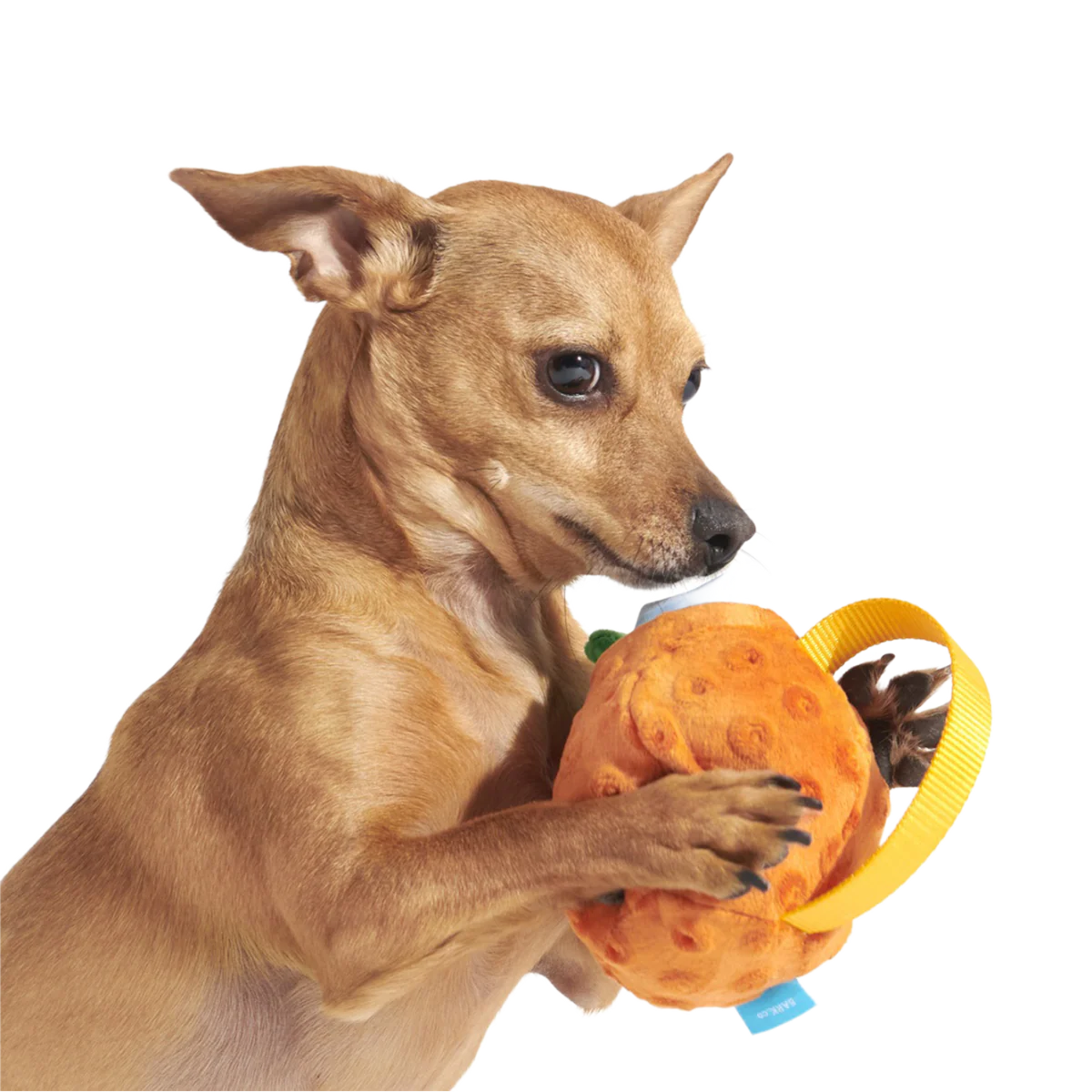 Cocktail Club, Plush Cocktail Monthly Dog Toys - Image 7