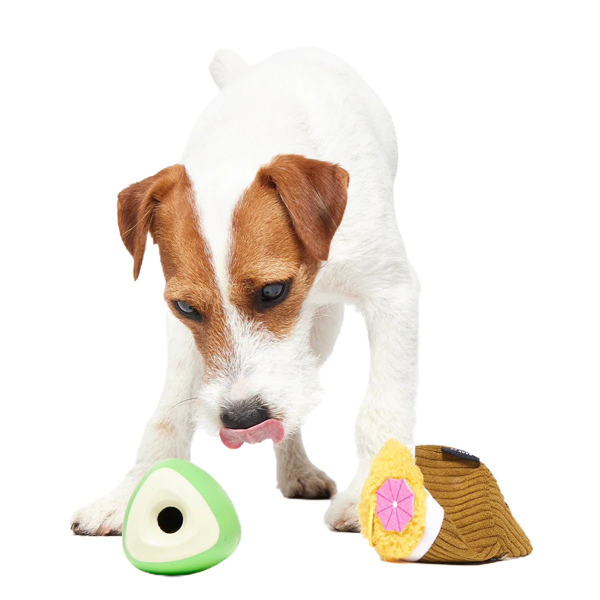 Coco-Mutt Cocktail Super Chewer Durable 2-in-1 Fetch + Enrichment Dog Toy - Image 3
