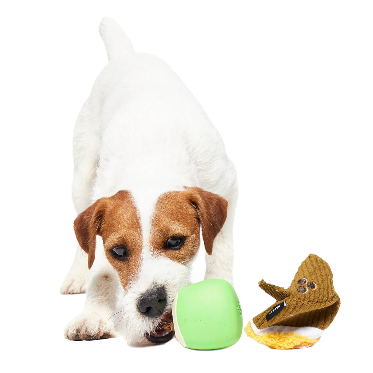 Coco-Mutt Cocktail Super Chewer Durable 2-in-1 Fetch + Enrichment Dog Toy - Image 4