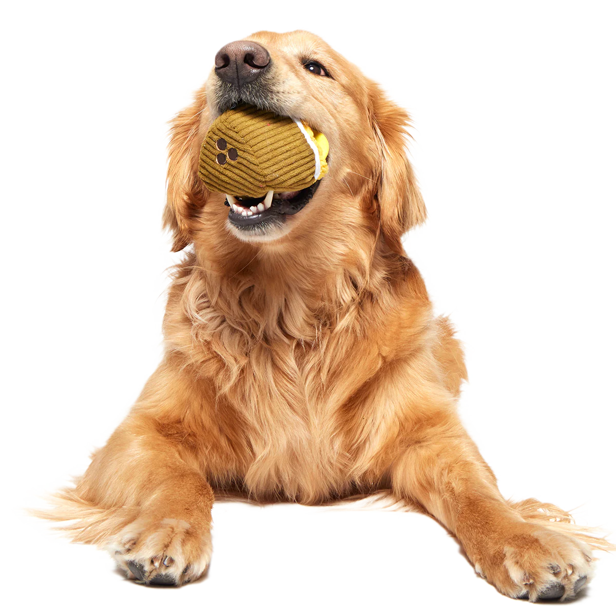 Coco-Mutt Cocktail Super Chewer Durable 2-in-1 Fetch + Enrichment Dog Toy - Image 5