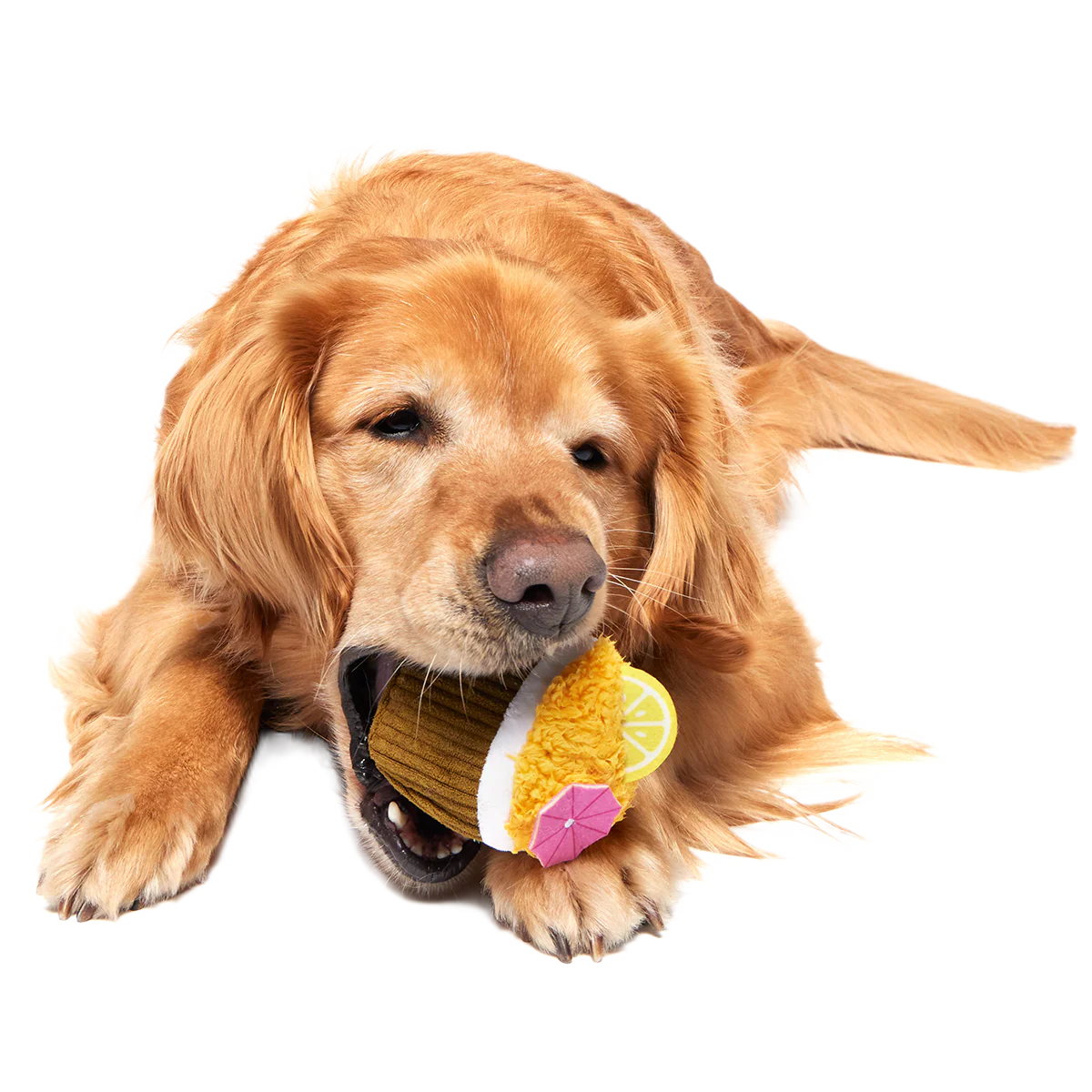 Coco-Mutt Cocktail Super Chewer Durable 2-in-1 Fetch + Enrichment Dog Toy - Image 6
