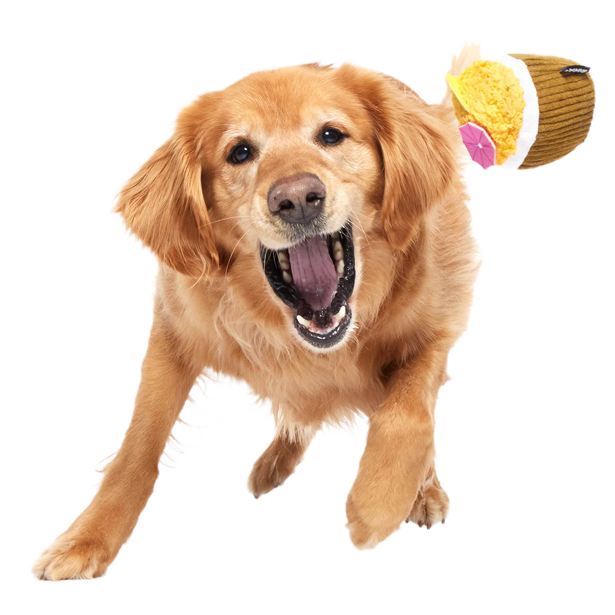 Coco-Mutt Cocktail Super Chewer Durable 2-in-1 Fetch + Enrichment Dog Toy - Image 7