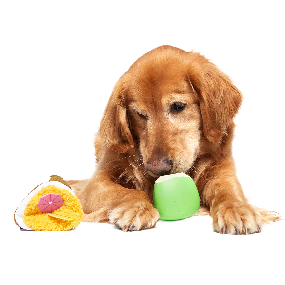 Coco-Mutt Cocktail Super Chewer Durable 2-in-1 Fetch + Enrichment Dog Toy - Image 8