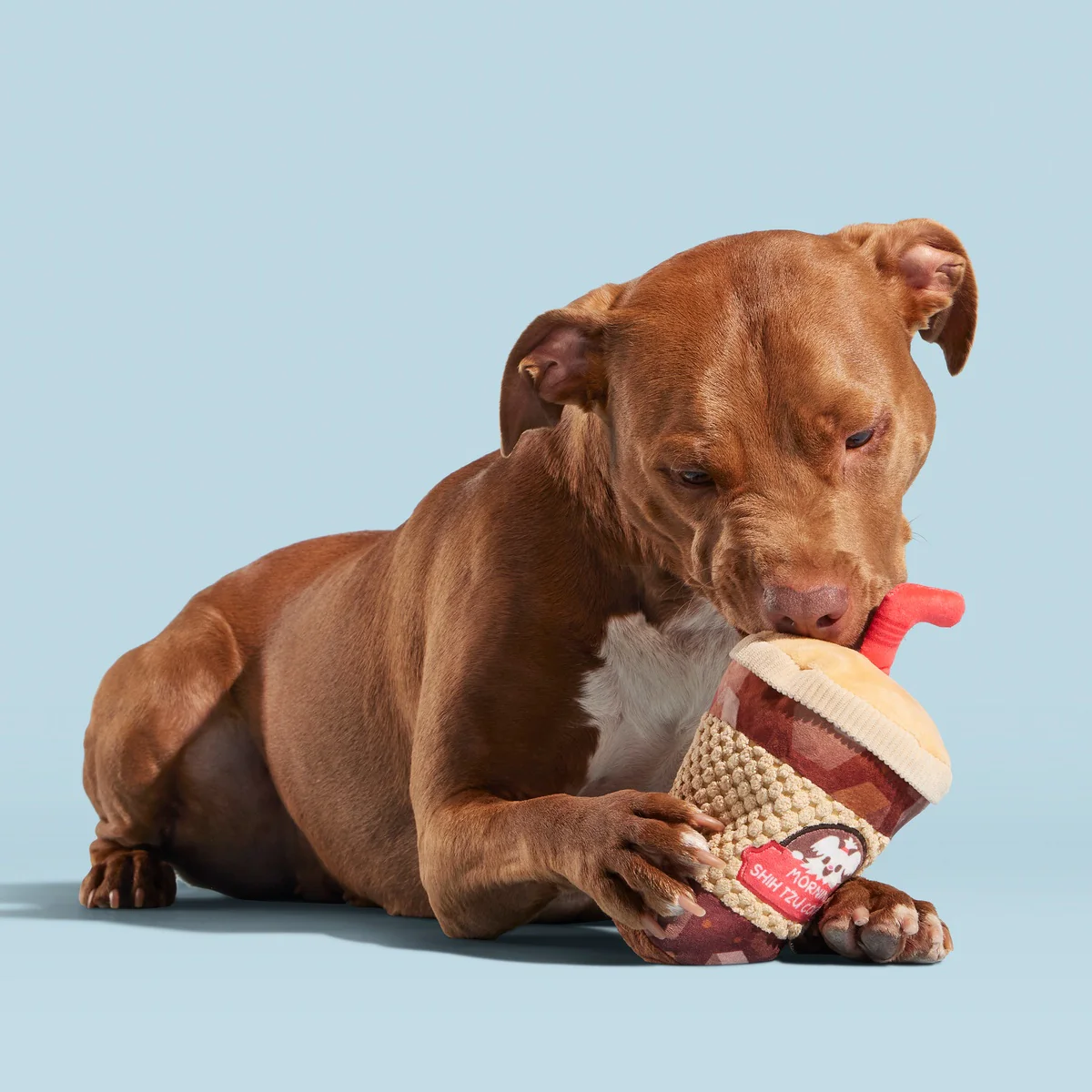 Cold Chew Coffee Plush Tug Dog Toy - Image 2