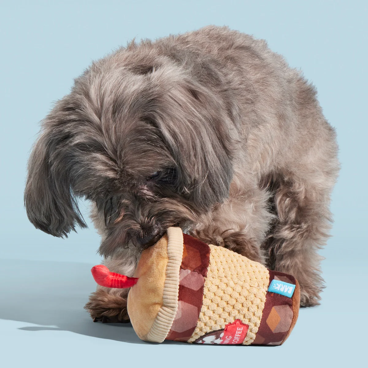 Cold Chew Coffee Plush Tug Dog Toy - Image 5