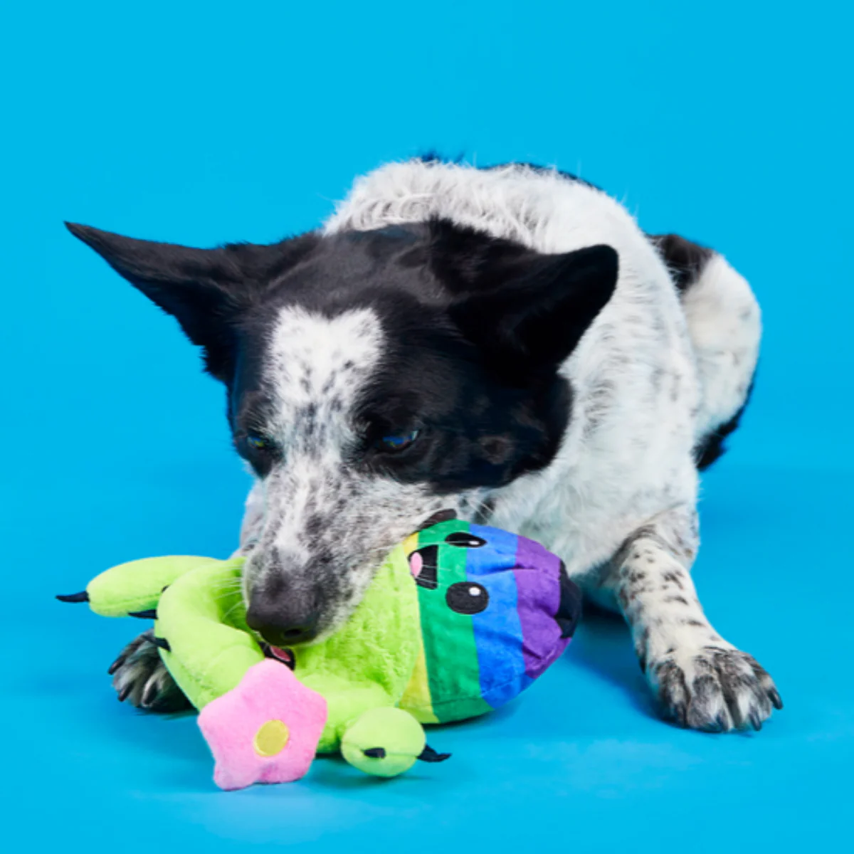 Consuela Comes Out Plush 2-in-1 Dog Toy - Image 4