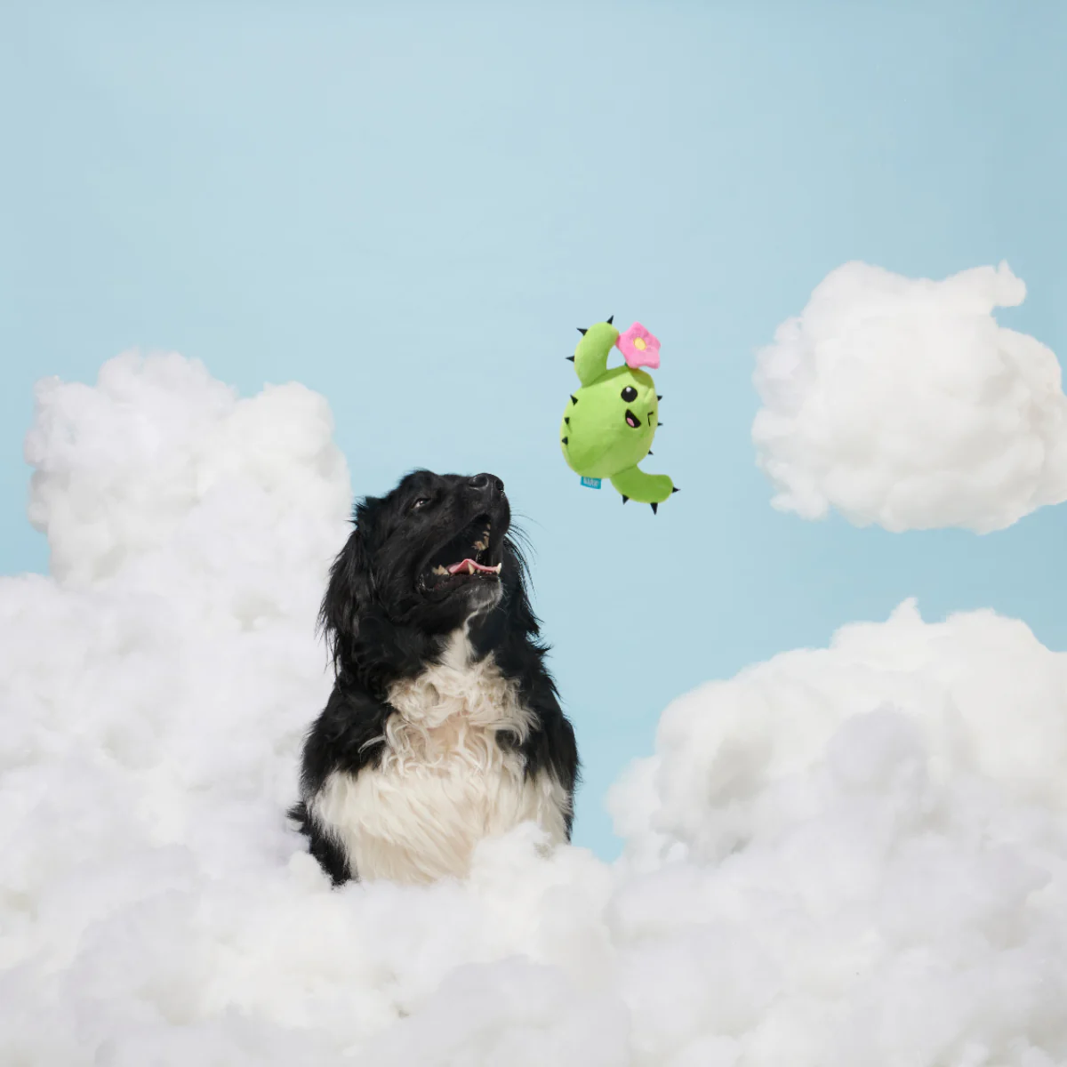 Consuela Comes Out Plush 2-in-1 Dog Toy - Image 5