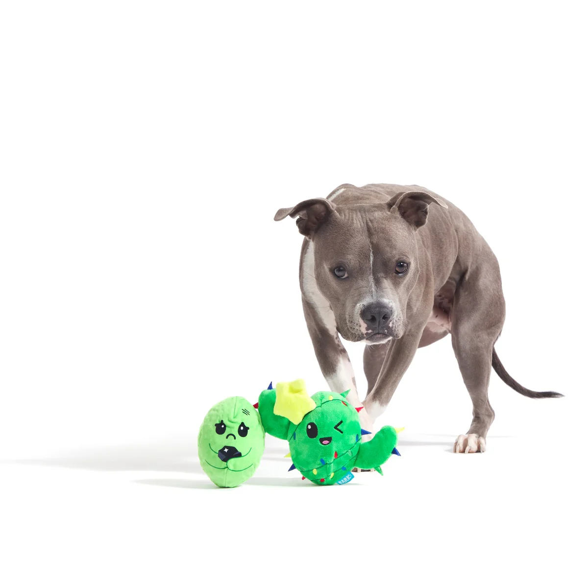Consuela the Christmas Cactus Rip & Reveal Plush 2-in-1 Rip and Reveal Dog Toy - Image 3