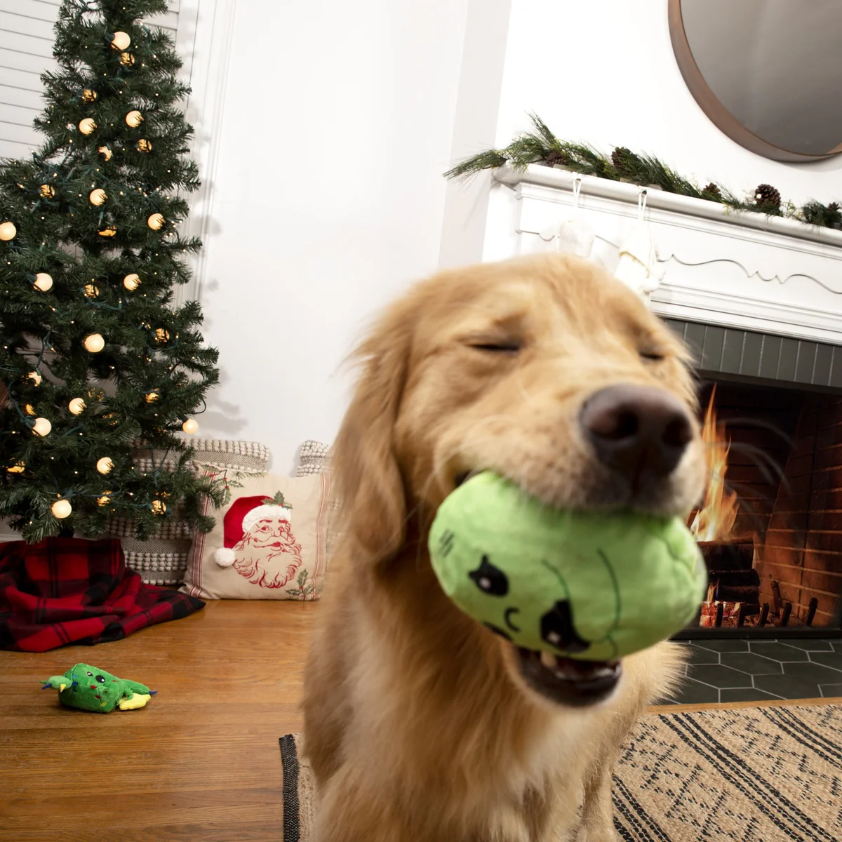 Consuela the Christmas Cactus Rip & Reveal Plush 2-in-1 Rip and Reveal Dog Toy - Image 5