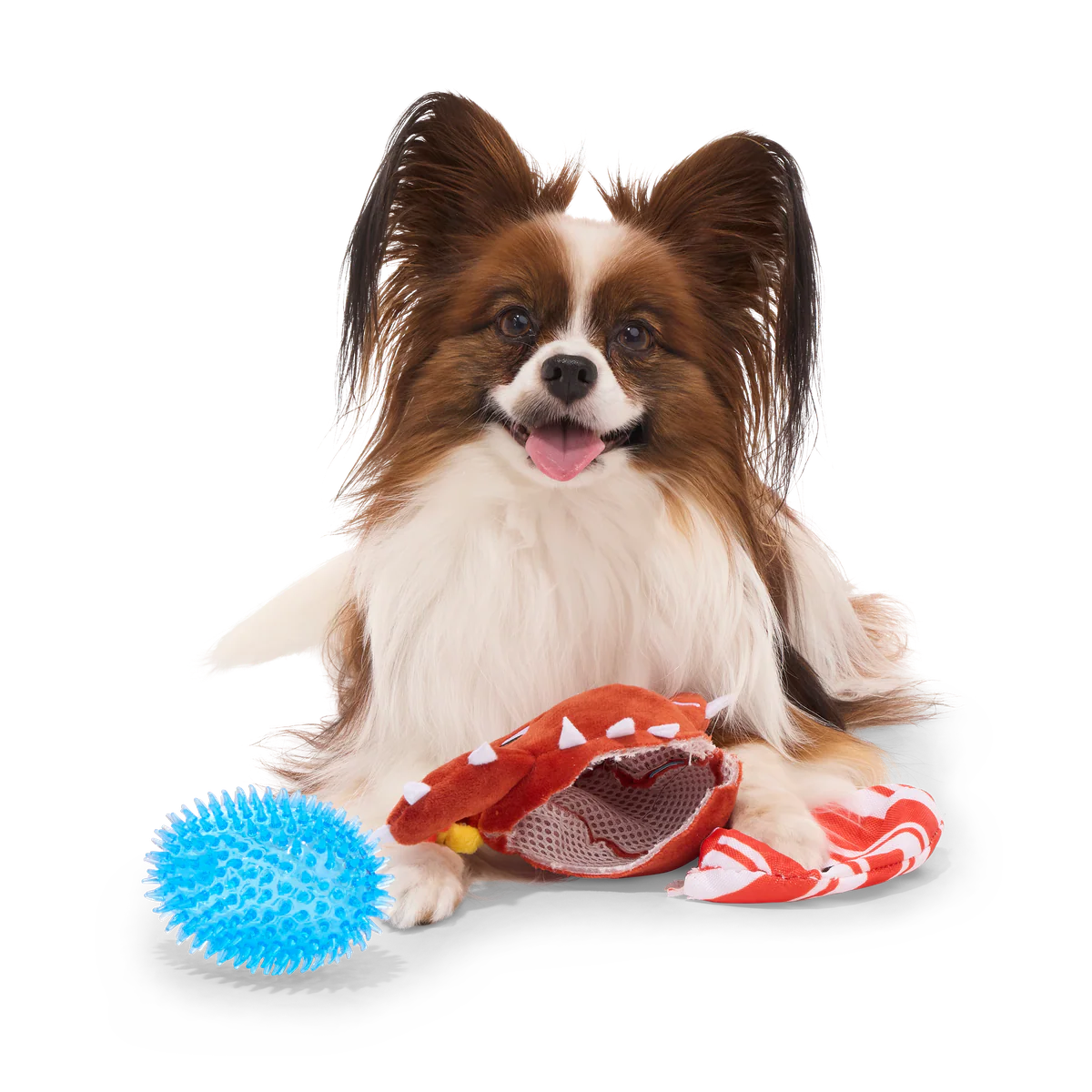 Consuela the Cookie Cactus Plush 2-in-1 Rip and Reveal Dog Toy - Image 10
