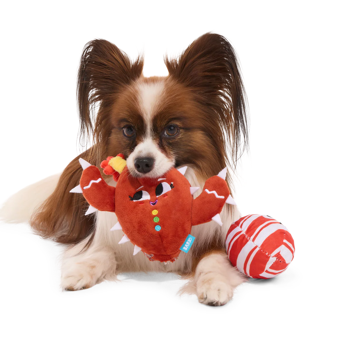 Consuela the Cookie Cactus Plush 2-in-1 Rip and Reveal Dog Toy - Image 5