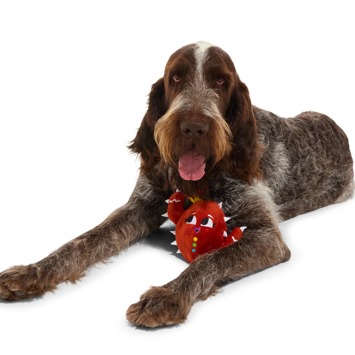 Consuela the Cookie Cactus Plush 2-in-1 Rip and Reveal Dog Toy - Image 7