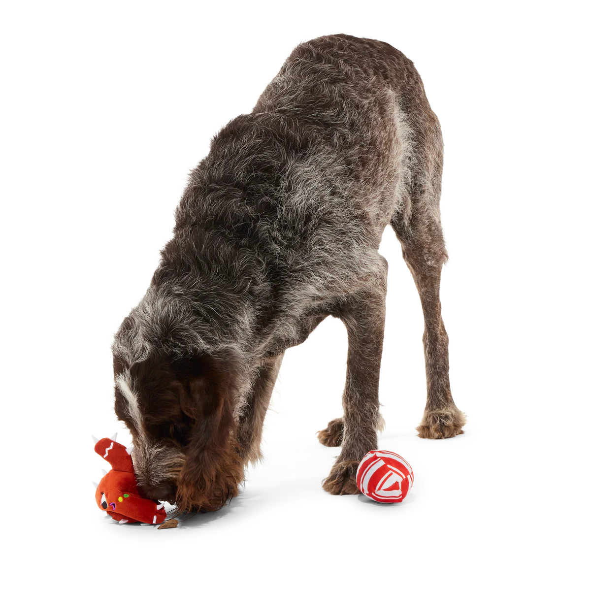 Consuela the Cookie Cactus Plush 2-in-1 Rip and Reveal Dog Toy - Image 8