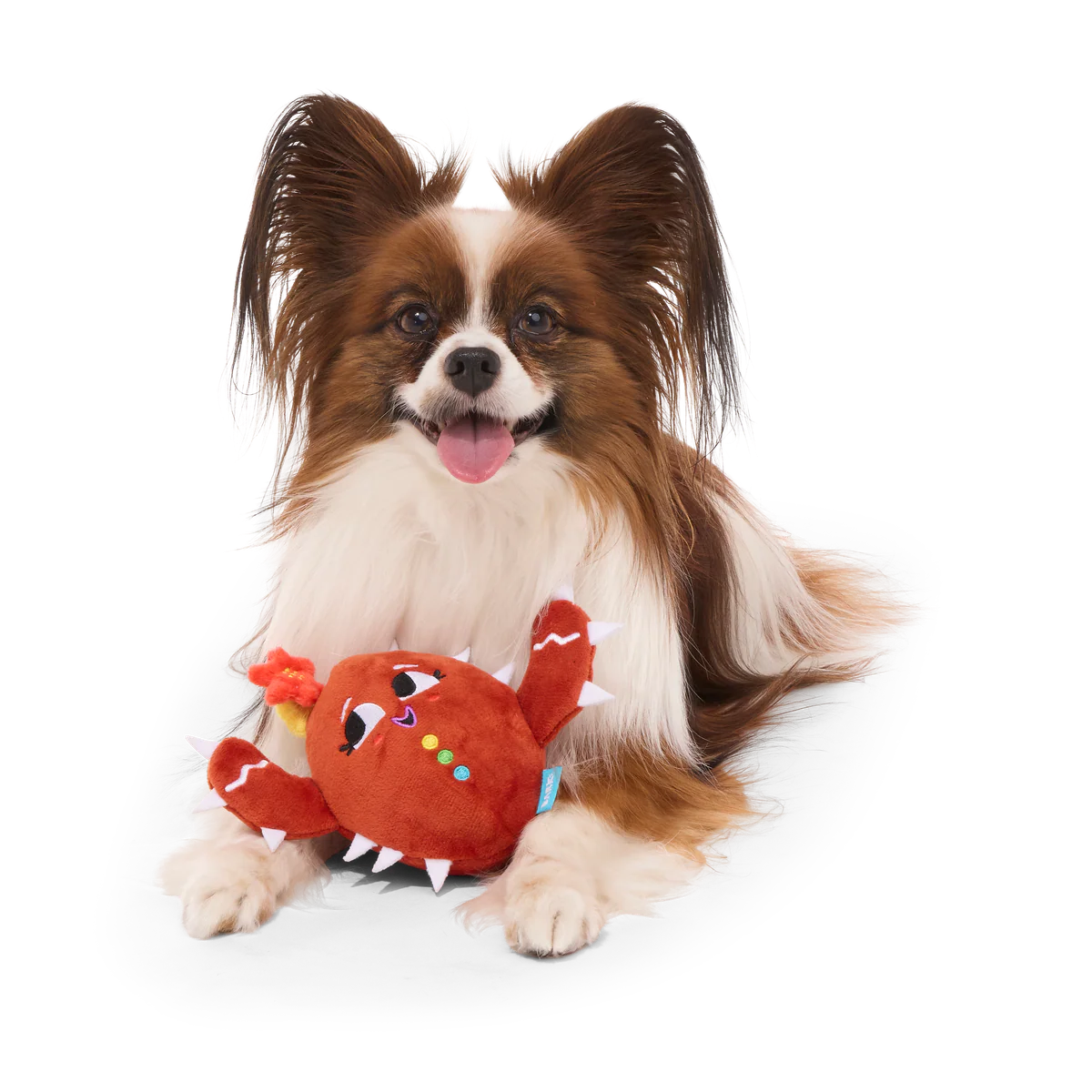 Consuela the Cookie Cactus Plush 2-in-1 Rip and Reveal Dog Toy - Image 9