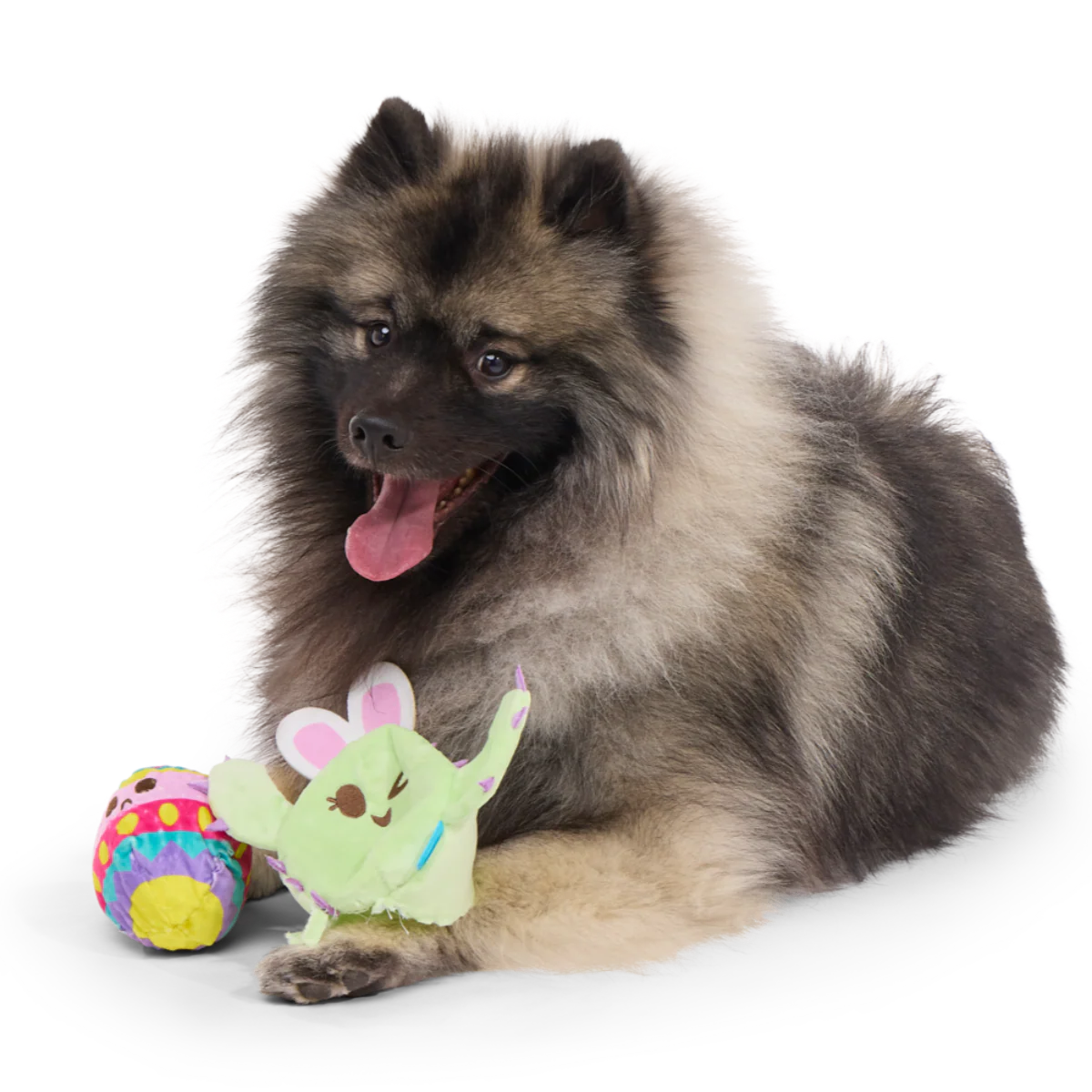 Consuela the Hoppy Cactus Plush 2-in-1 Rip and Reveal + Tug Dog Toy - Image 5