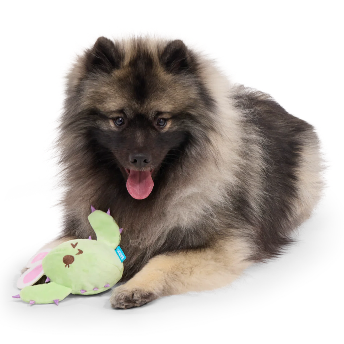 Consuela the Hoppy Cactus Plush 2-in-1 Rip and Reveal + Tug Dog Toy - Image 6