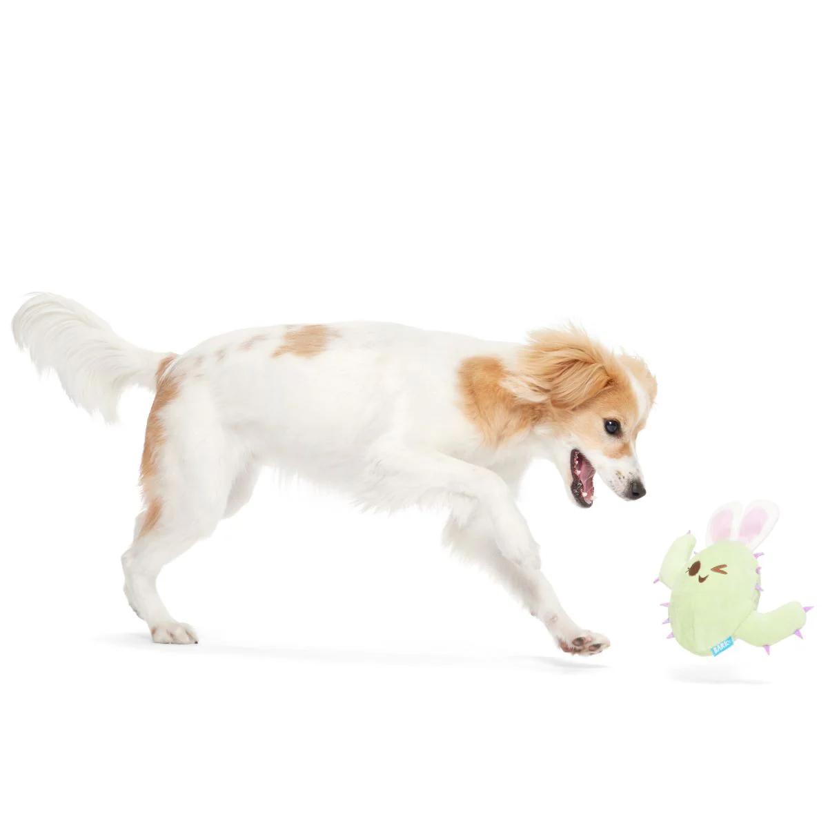 Consuela the Hoppy Cactus Plush 2-in-1 Rip and Reveal + Tug Dog Toy - Image 7