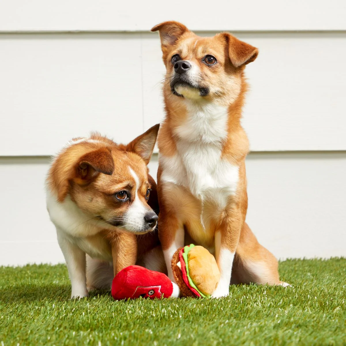 Cookout Burger and Ketchup Plush Multi-Part Dog Toy - Image 2