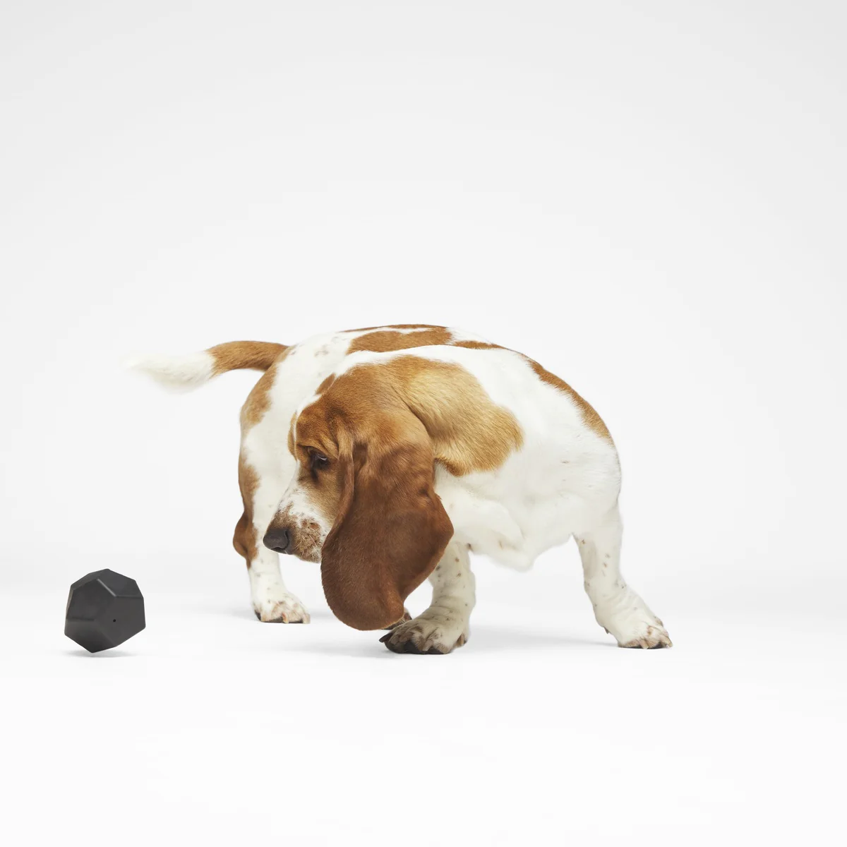 Cool Cool Coal Super Chewer Durable Gnaw Dog Toy - Image 2