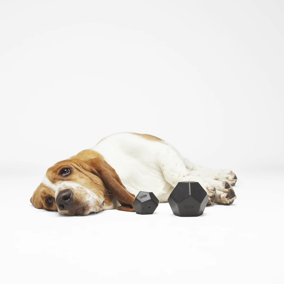 Cool Cool Coal Super Chewer Durable Gnaw Dog Toy - Image 3