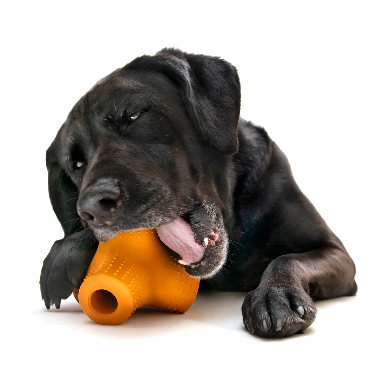Coral Teef Super Chewer Durable Gnaw + Fetch Dog Toy - Image 3