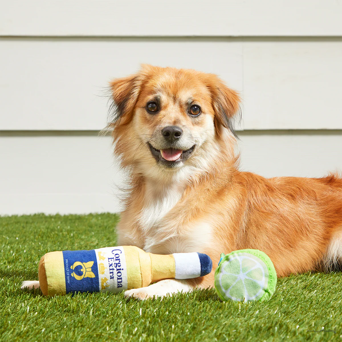 Corgiona With Lime Plush Multi-Part Dog Toy - Image 4