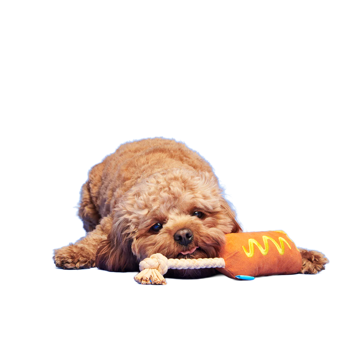 Corn Dog Tug Plush Rope Dog Toy