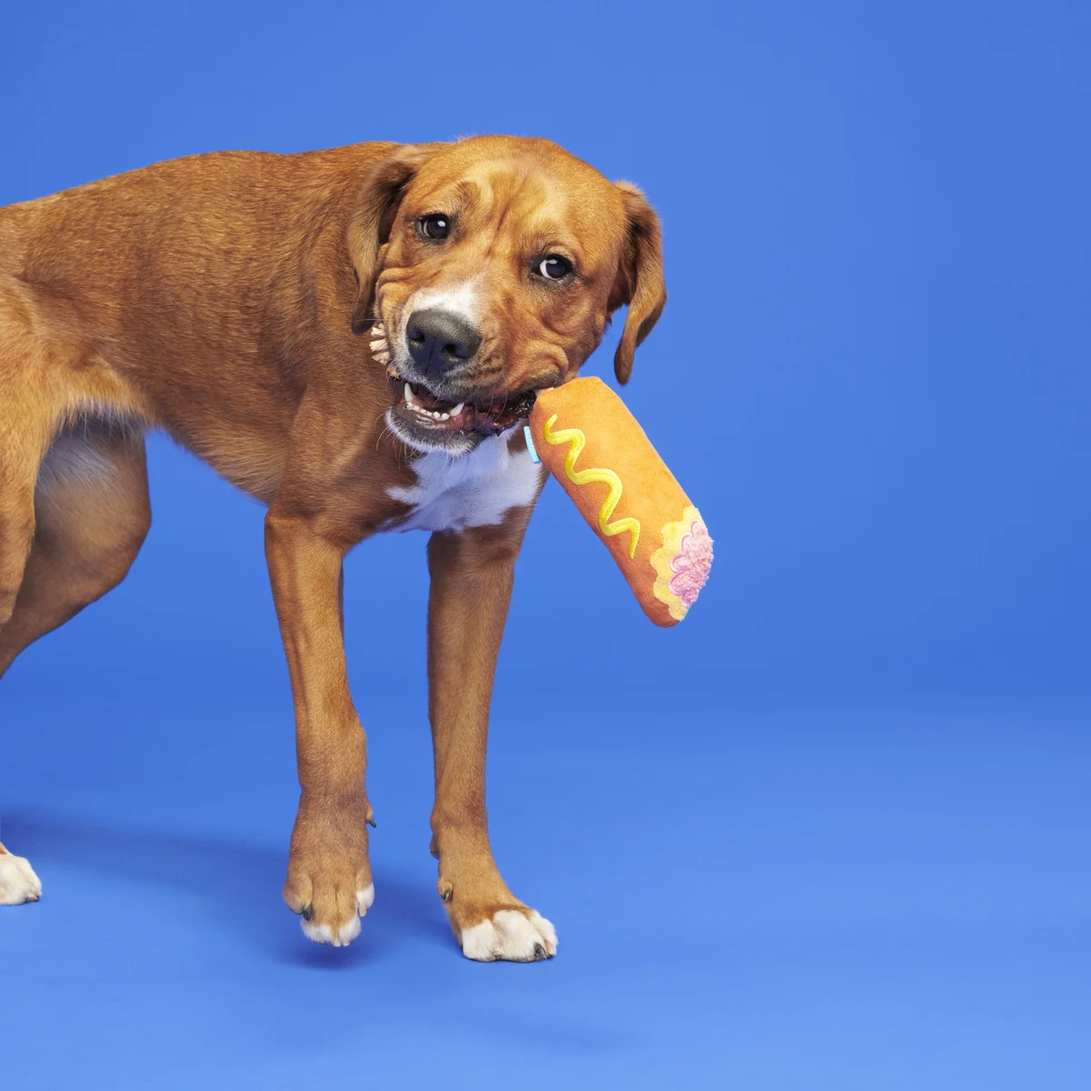 Corn Dog Tug Plush Rope Dog Toy - Image 2