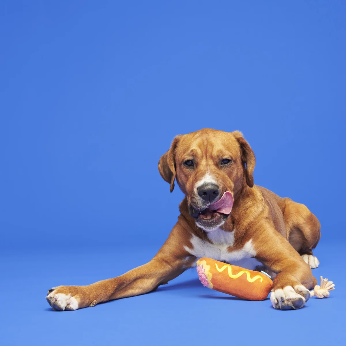 Corn Dog Tug Plush Rope Dog Toy - Image 3