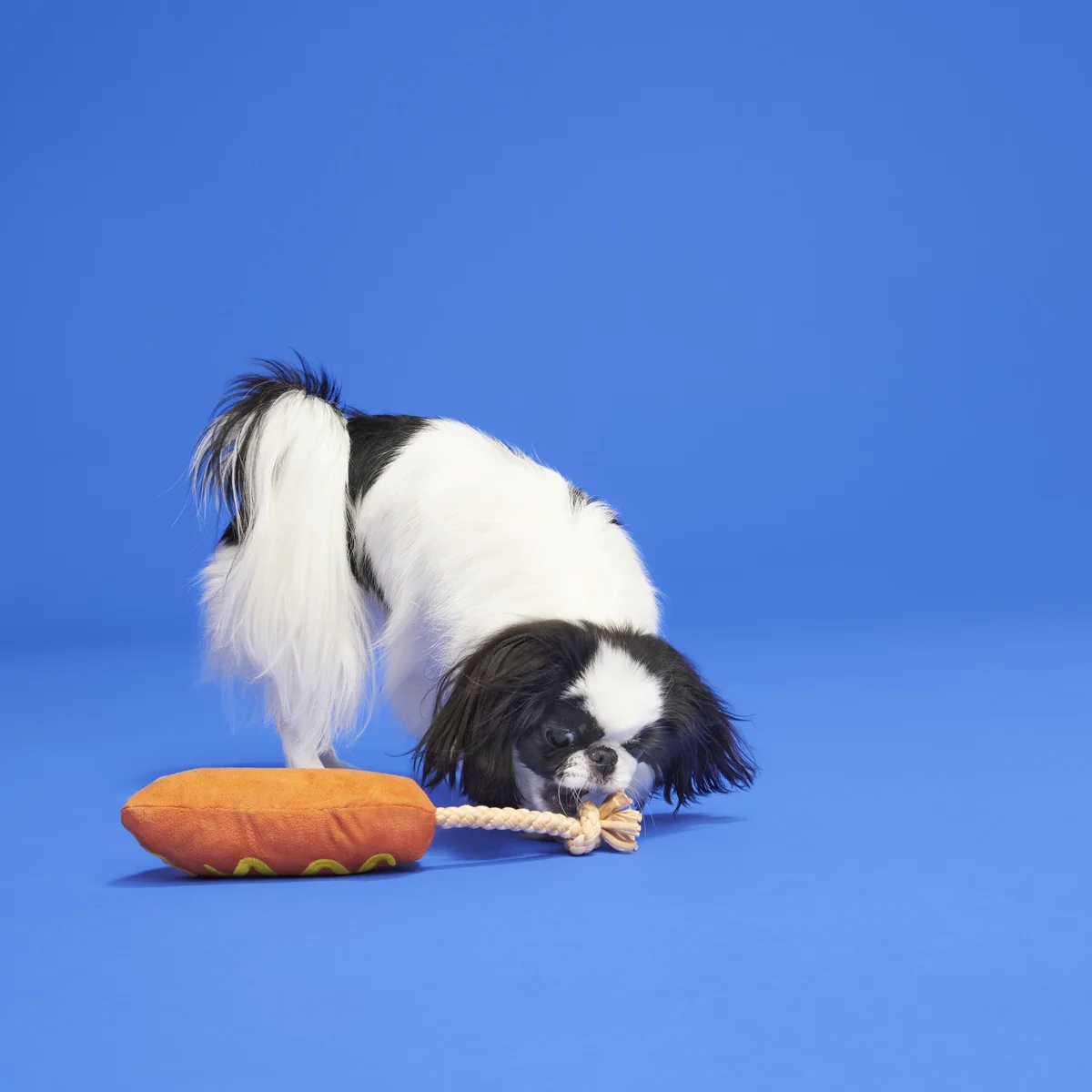 Corn Dog Tug Plush Rope Dog Toy - Image 4