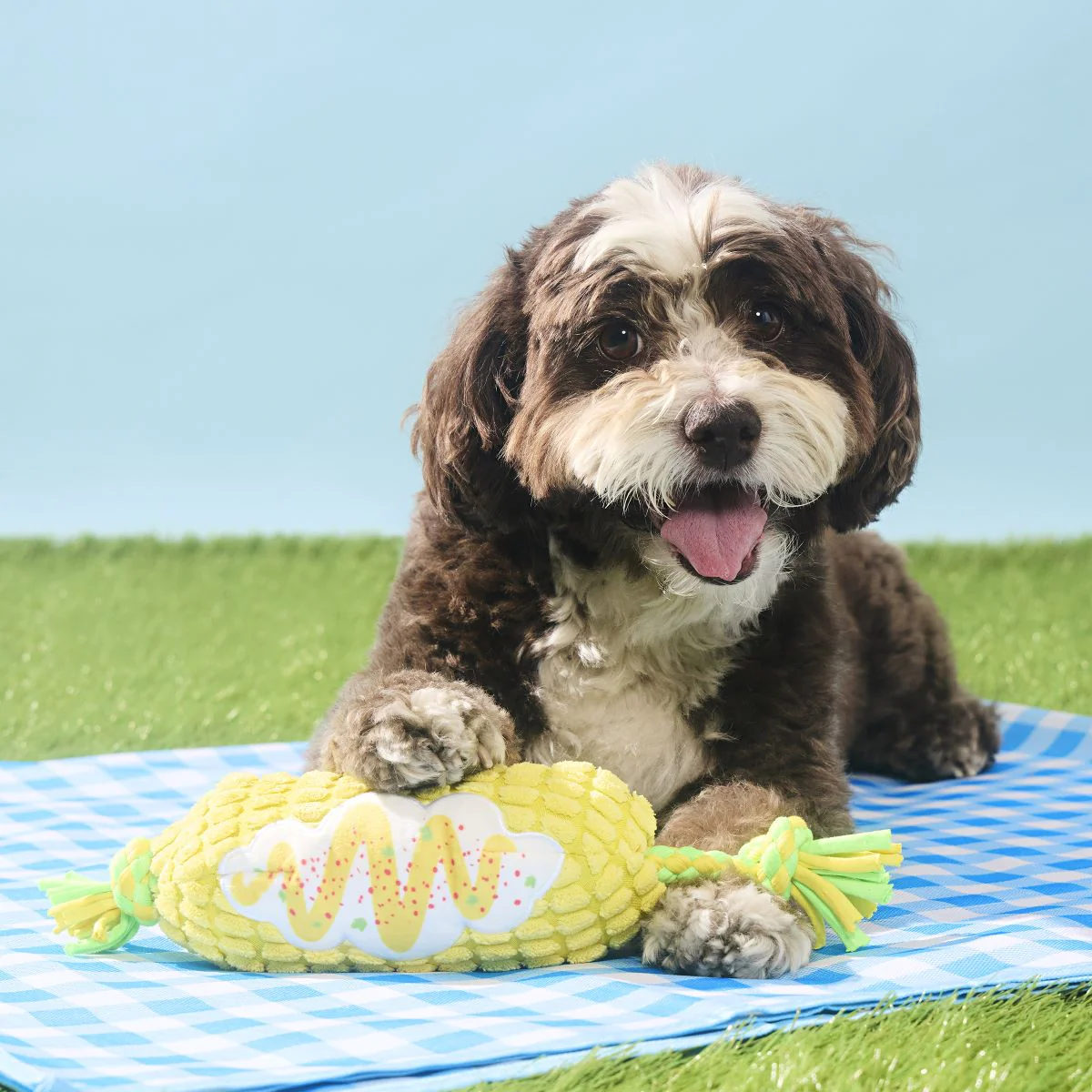 Corn on the Tug Plush Dog Toy - Image 3