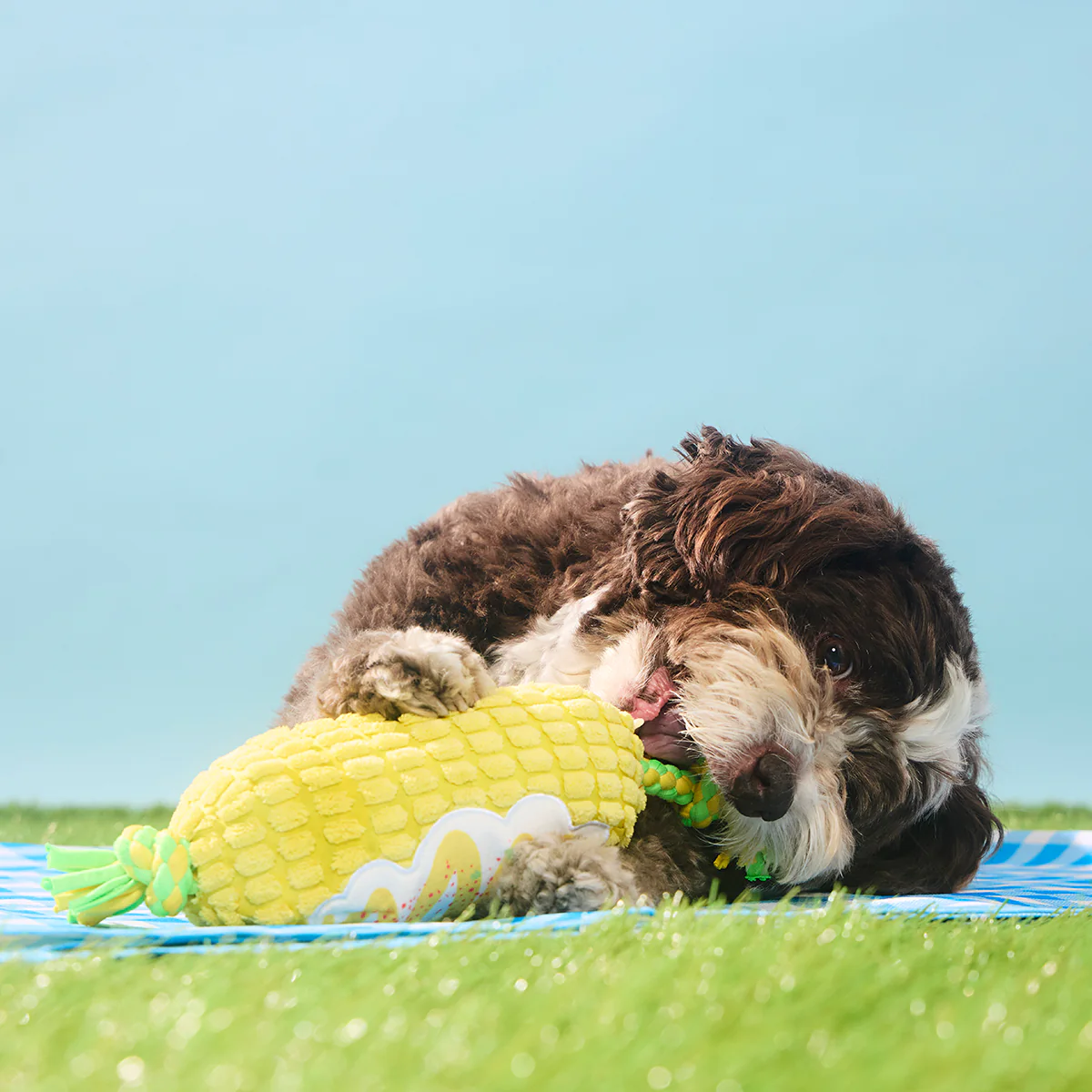 Corn on the Tug Plush Dog Toy - Image 4