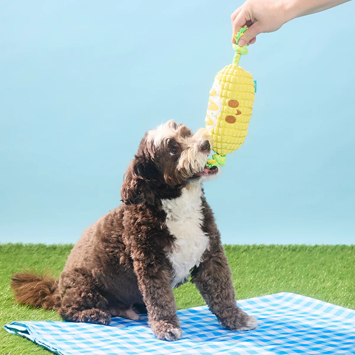 Corn on the Tug Plush Dog Toy - Image 5