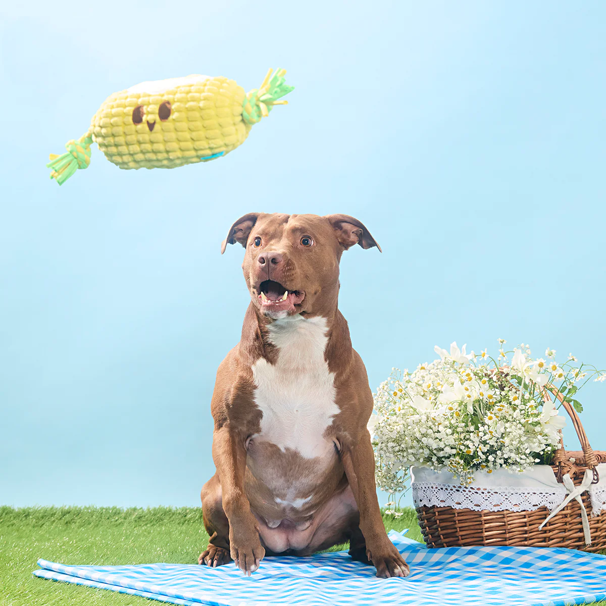 Corn on the Tug Plush Dog Toy - Image 6