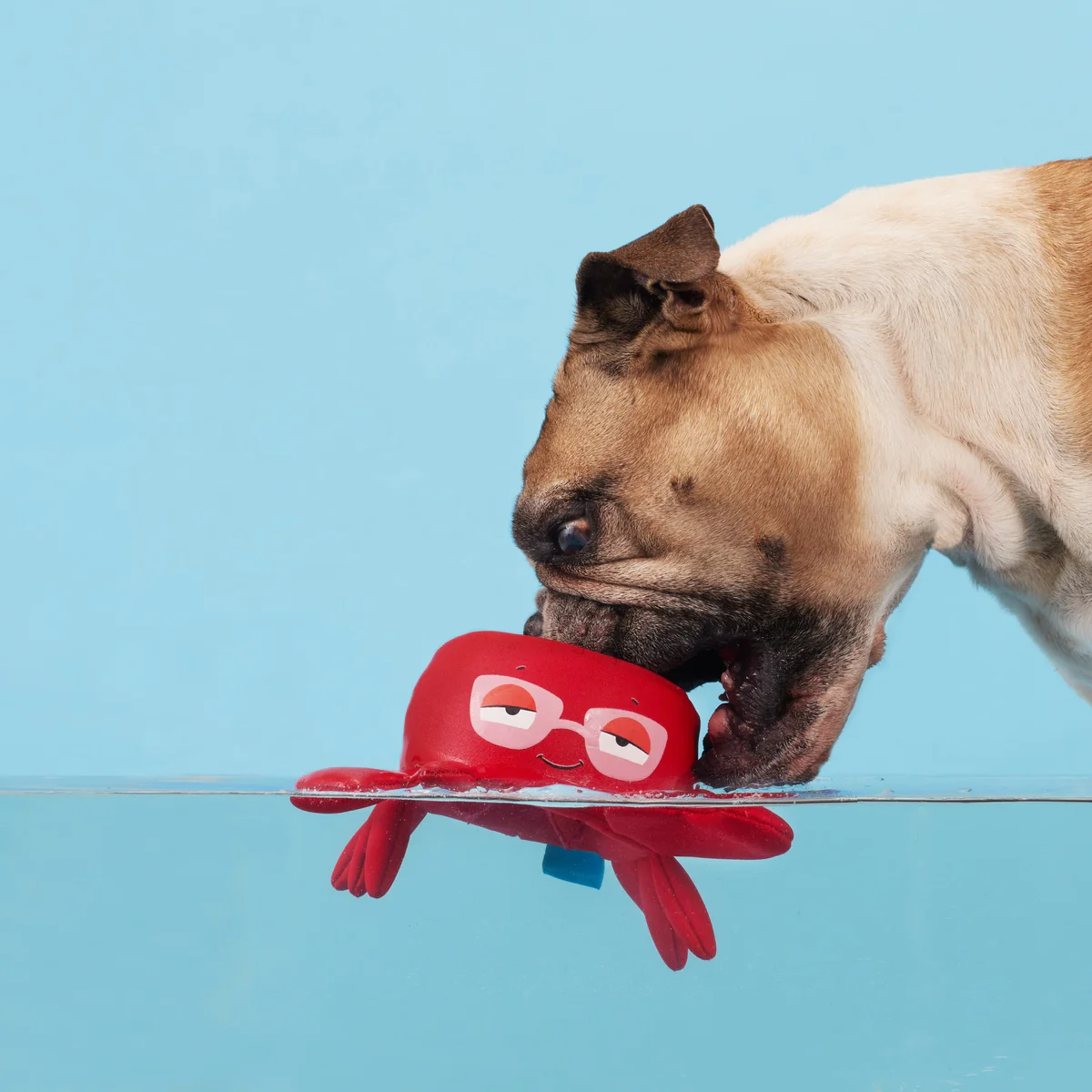 Crab Me A Drink Plush Enrichment Dog Toy - Image 2