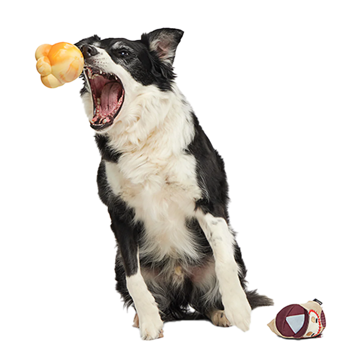 Crackin' Jake Super Chewer Durable 2-in-1 + Enrichment + Fetch Dog Toy - Image 5