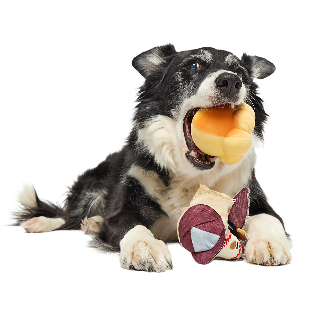 Crackin' Jake Super Chewer Durable 2-in-1 + Enrichment + Fetch Dog Toy - Image 6