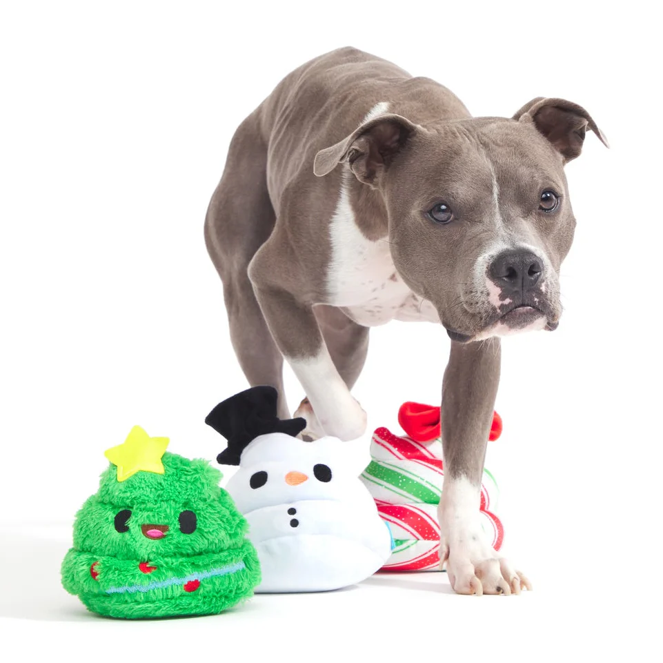 Crappy Holidays Multipart Plush Dog Toy Bundle - Image 4