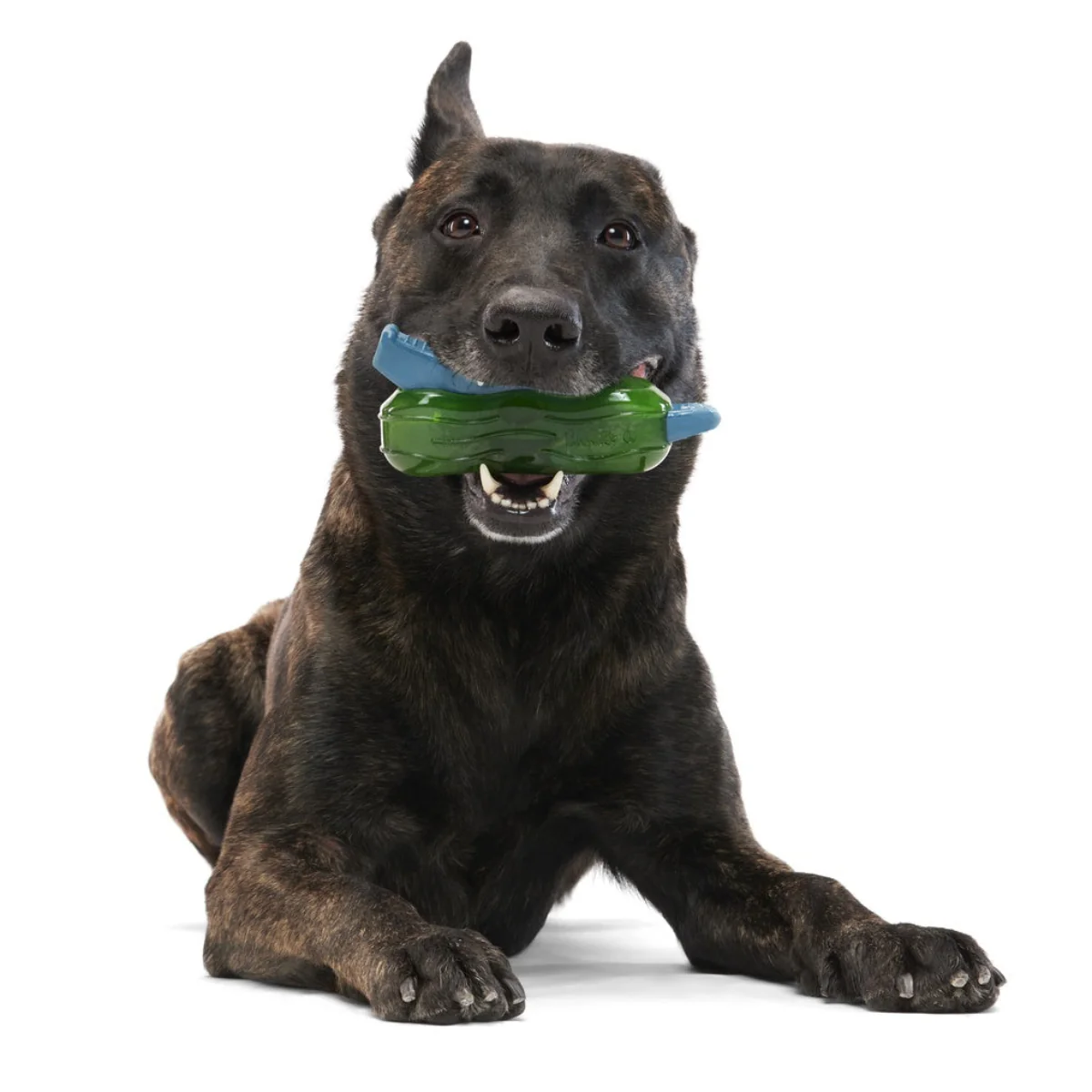 Crocness Monster Super Chewer Durable Gnaw Dog Toy - Image 3