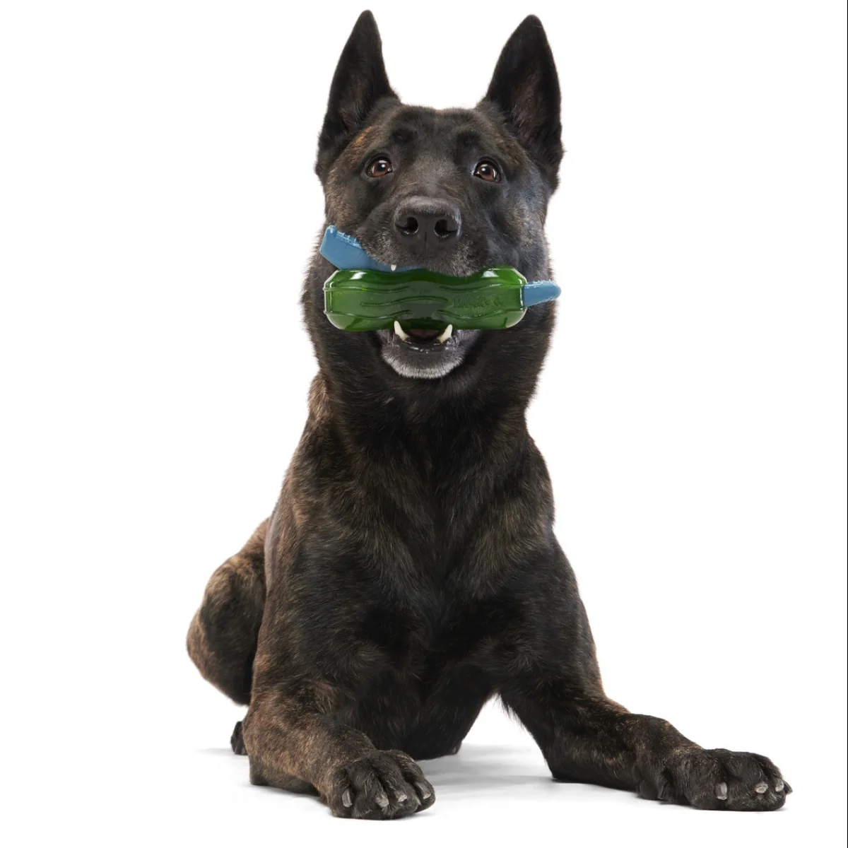 Crocness Monster Super Chewer Durable Gnaw Dog Toy - Image 4