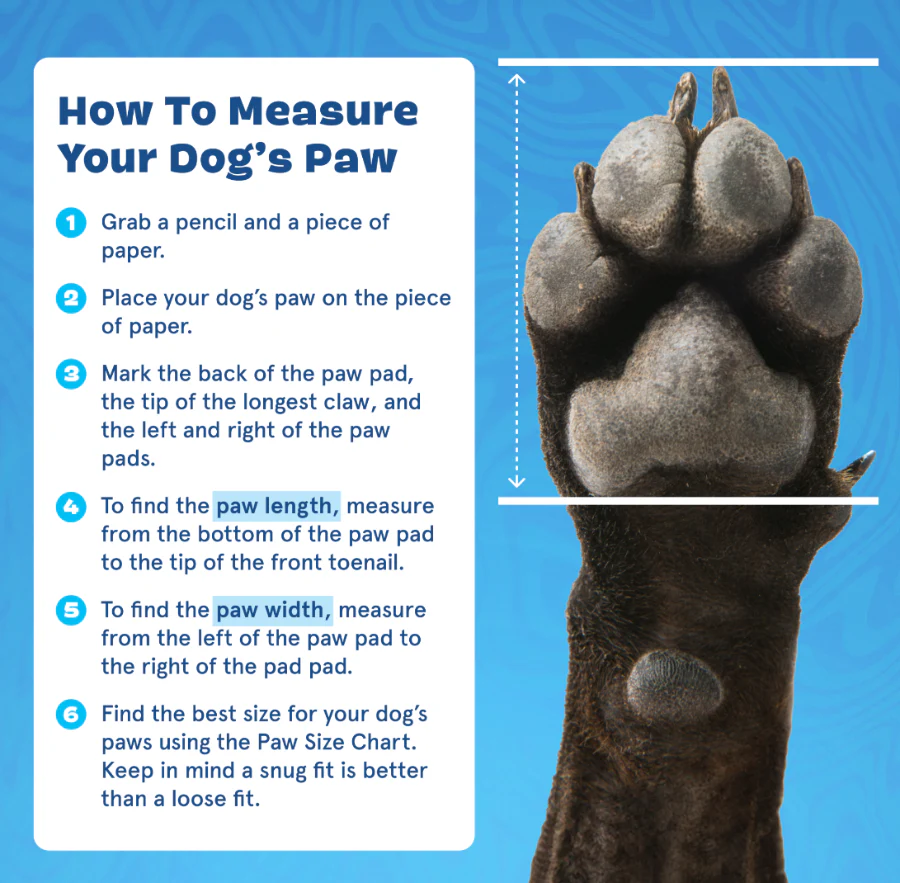 Crocs™ Shoes For Dogs - Image 12