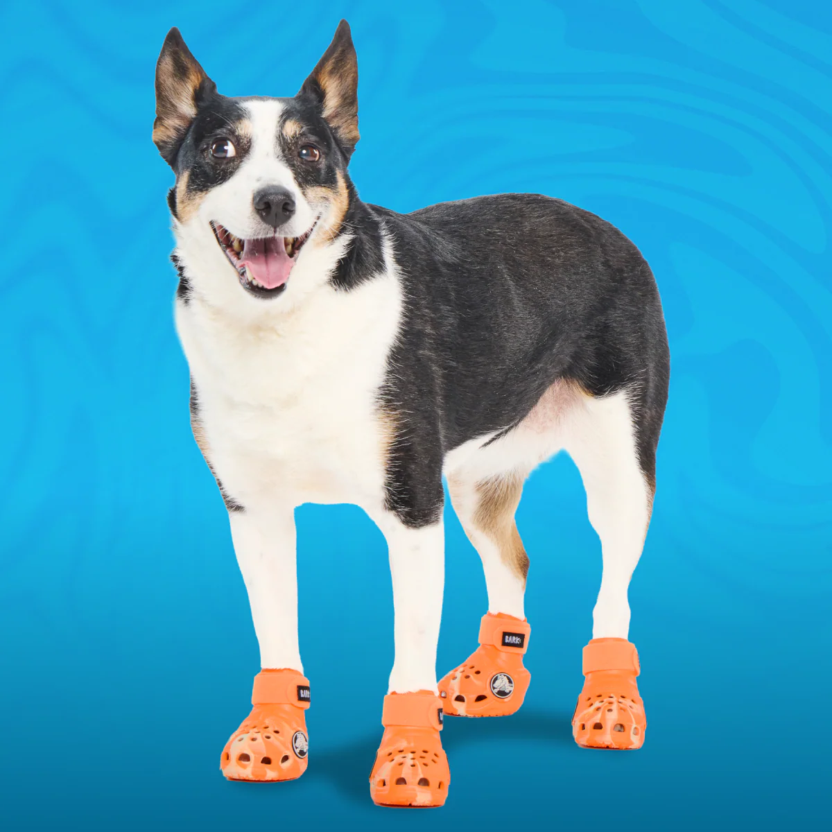 Crocs™ Shoes For Dogs - Image 2