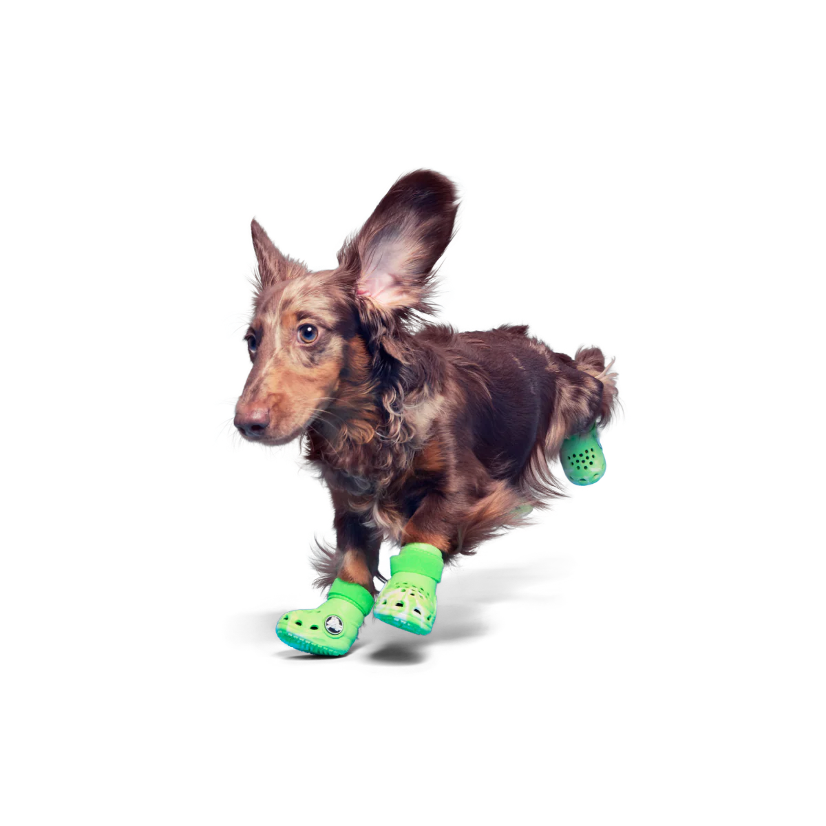 Crocs™ Shoes For Dogs - Image 3