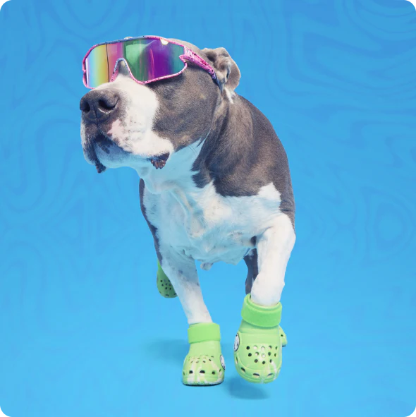 Crocs™ Shoes For Dogs - Image 6