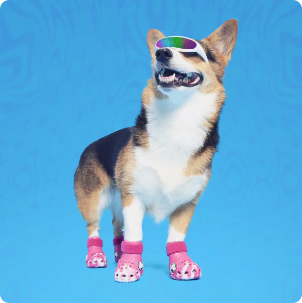 Crocs™ Shoes For Dogs - Image 7