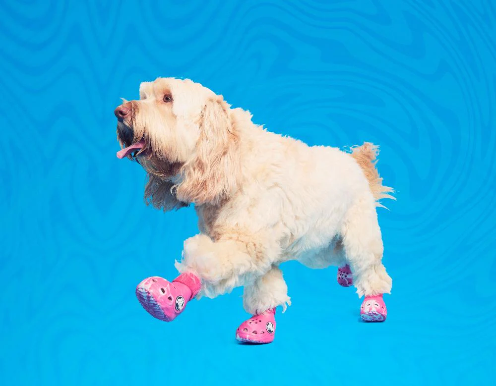 Crocs™ Shoes For Dogs - Image 8