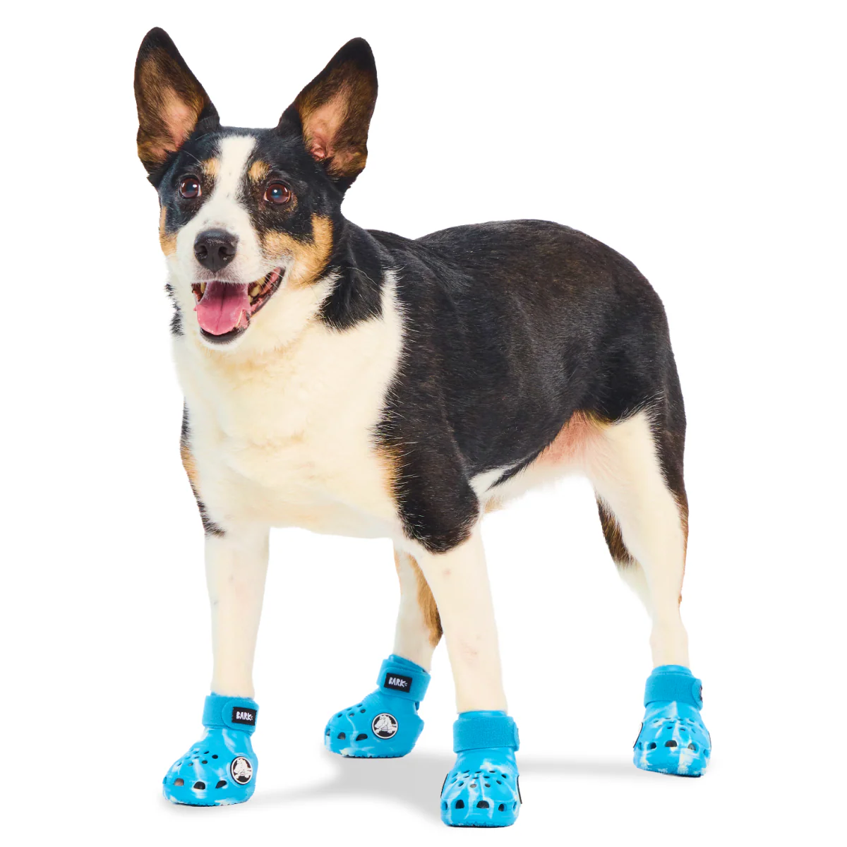 Crocs™ Shoes For Dogs (Copy) - Image 2