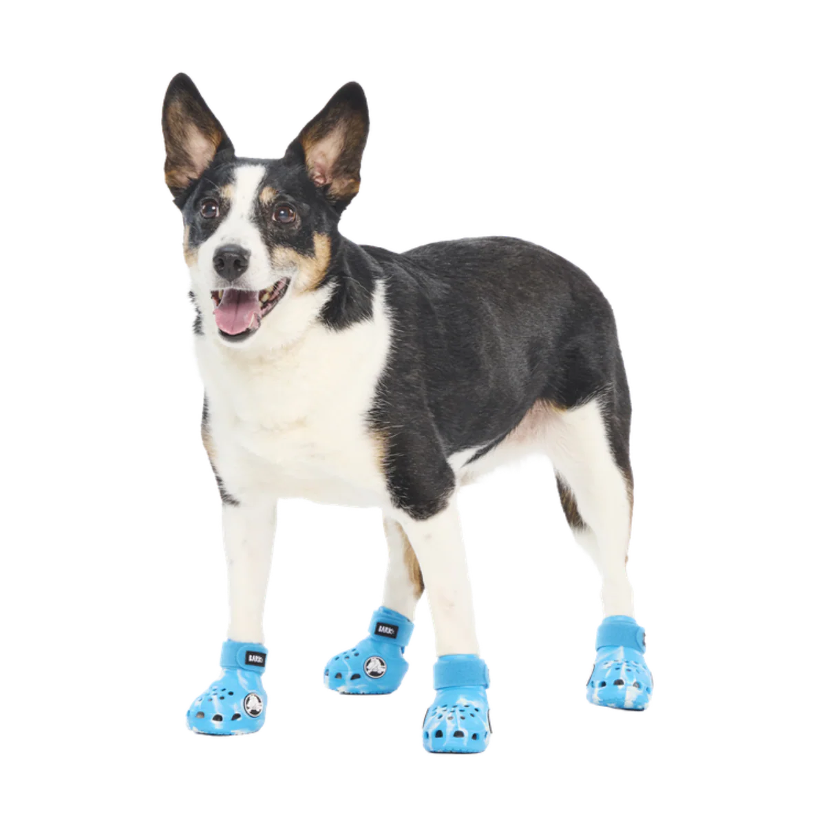 Crocs™ Shoes For Dogs - Image 4