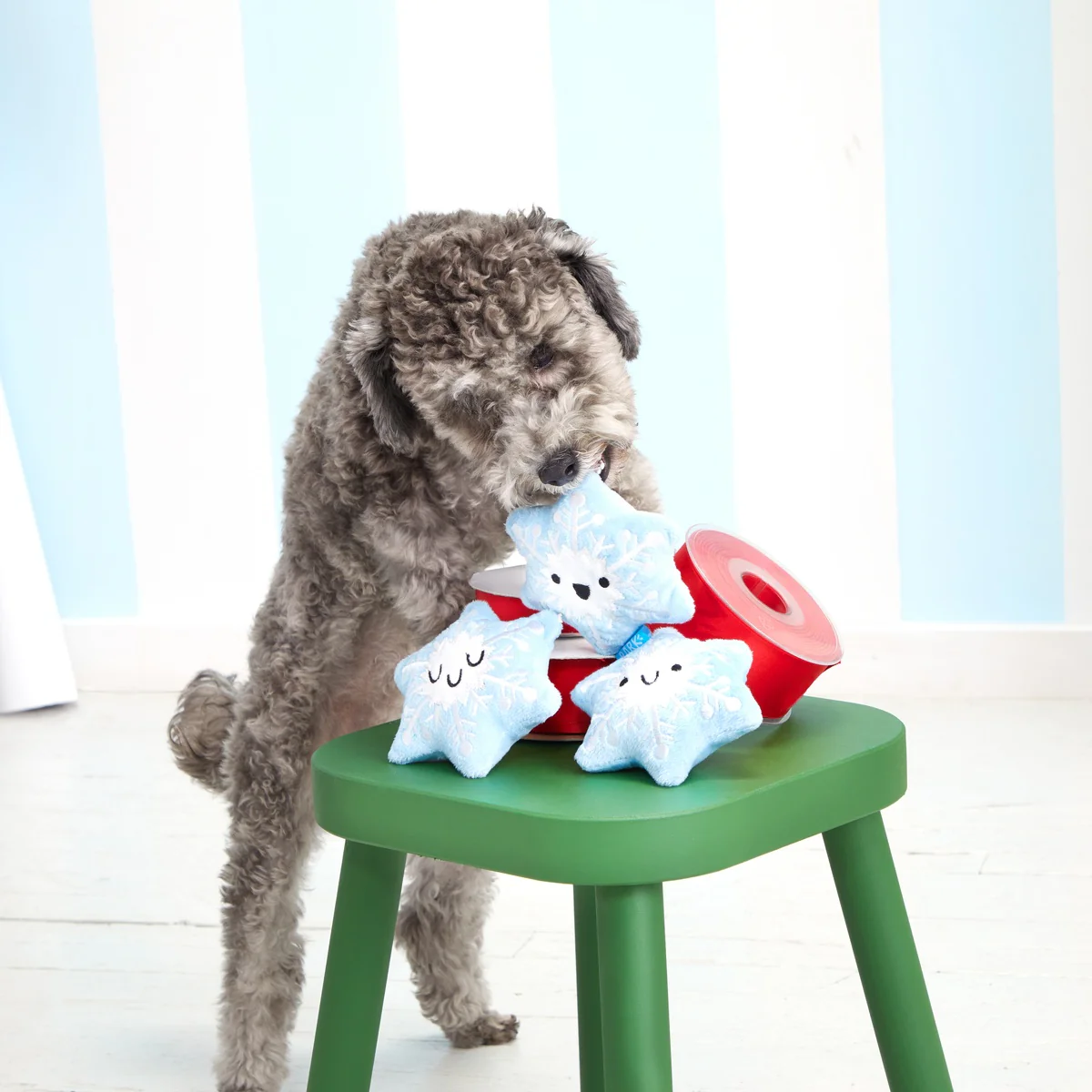 Crystal, Krystle & Cristal Plush Multi-Part Dog Toy - Image 2